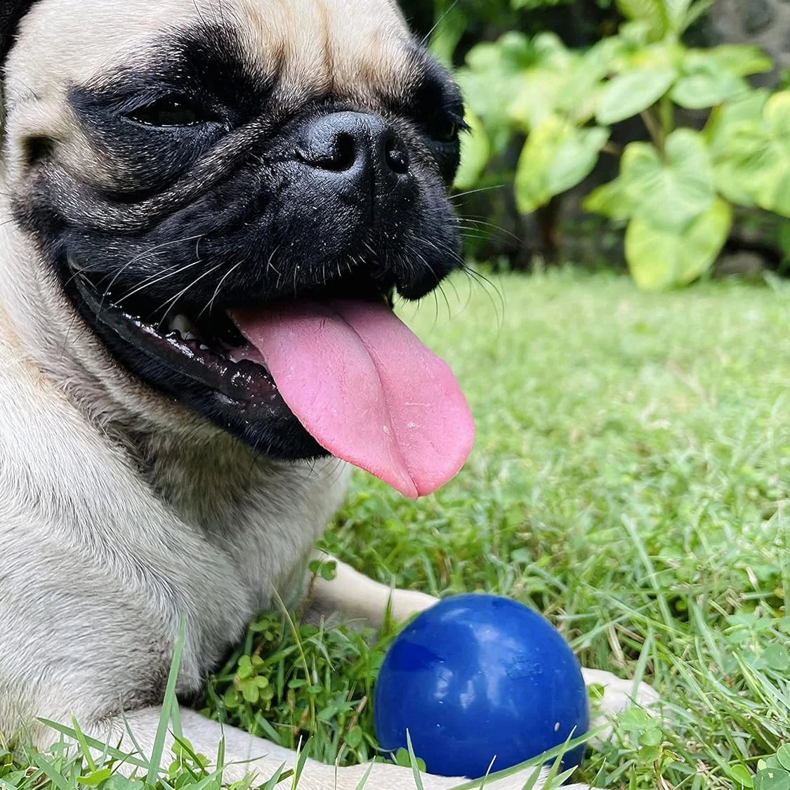 SuperChewy Durable Dog Toy Ball