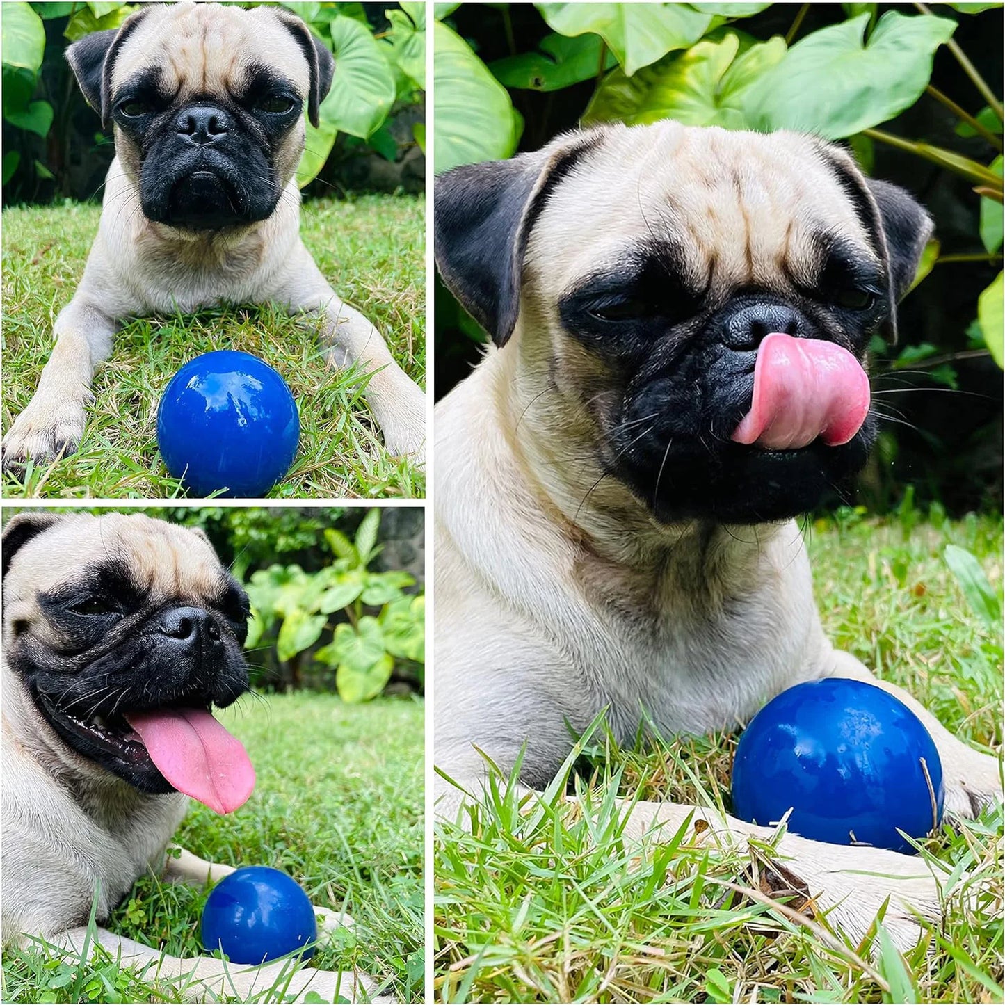 SuperChewy Durable Dog Toy Ball