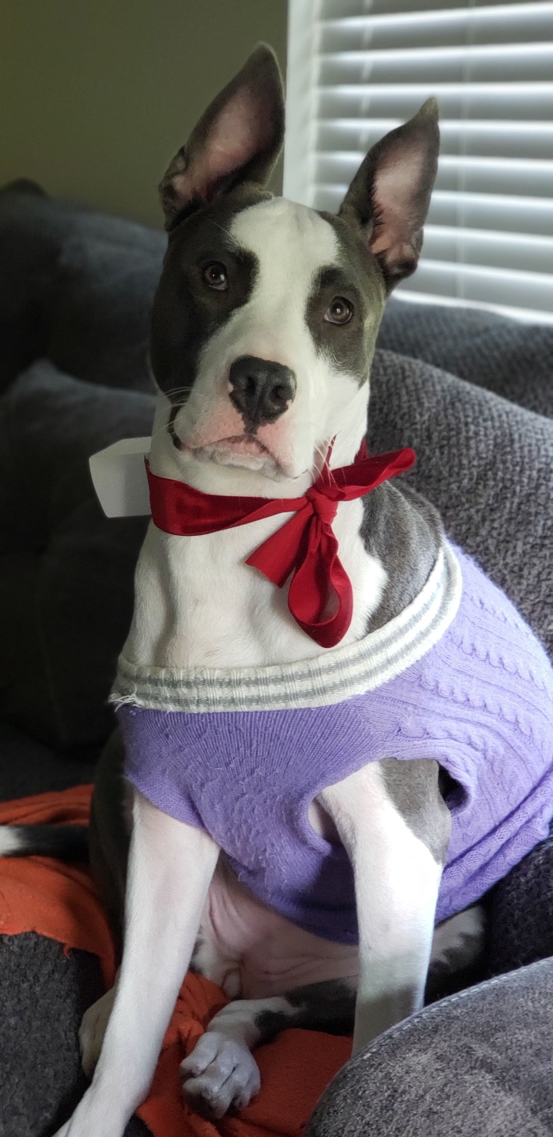 Meet Mita!